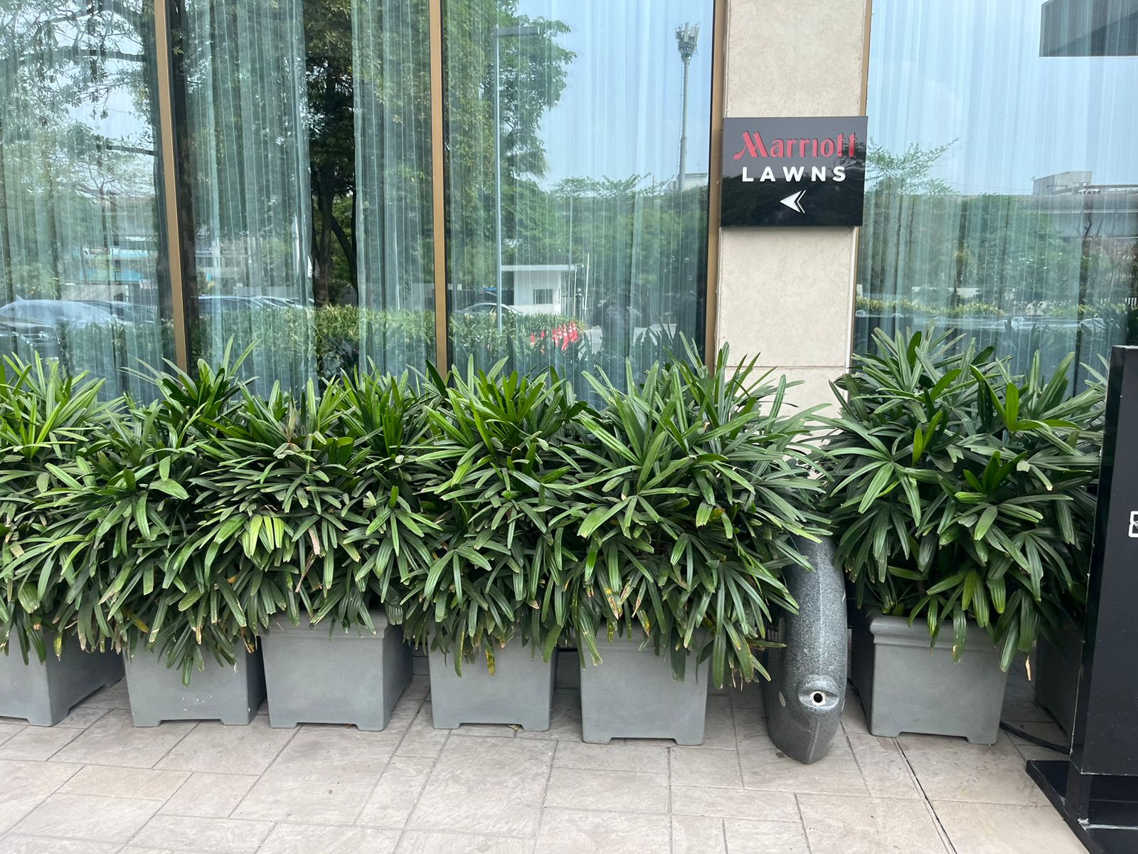 Advanced Horticultural Services for Sustainable Gardens in India