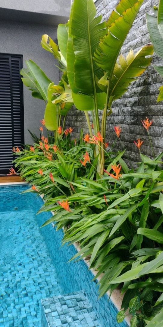 Water Harvesting and Management Systems