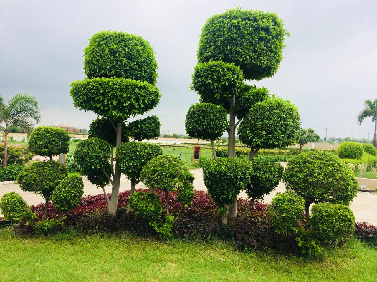 Environmental Sustainability & Landscape Restoration Projects